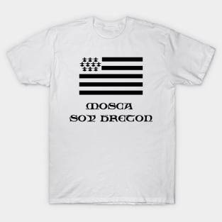 100% breton T-Shirt